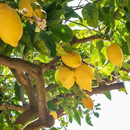 Prázdninový dům Casa Vacanze L'eden