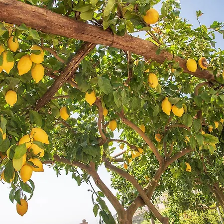 Prázdninový dům Casa Vacanze L'eden Scala