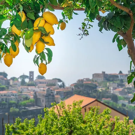 Prázdninový dům Casa Vacanze L'eden